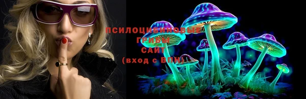 мет Ладушкин