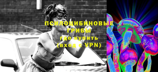 apvp Лихославль