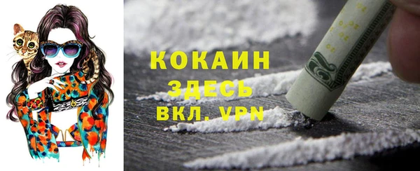 дурь Лагань